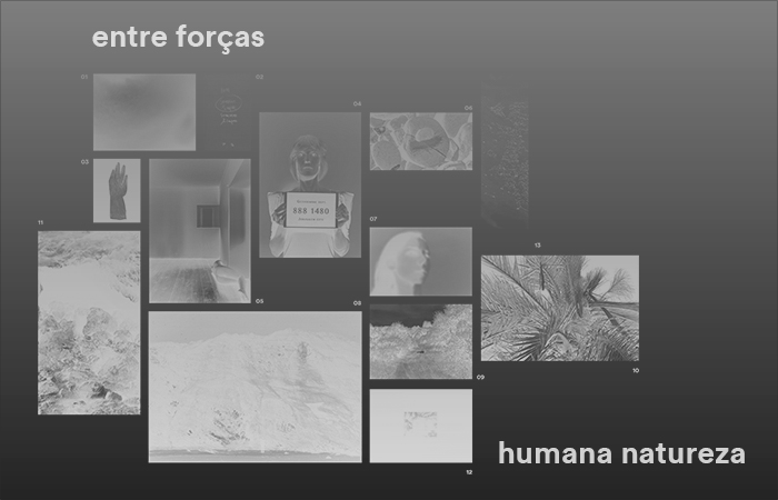 E_2016_ENTREFORCAS