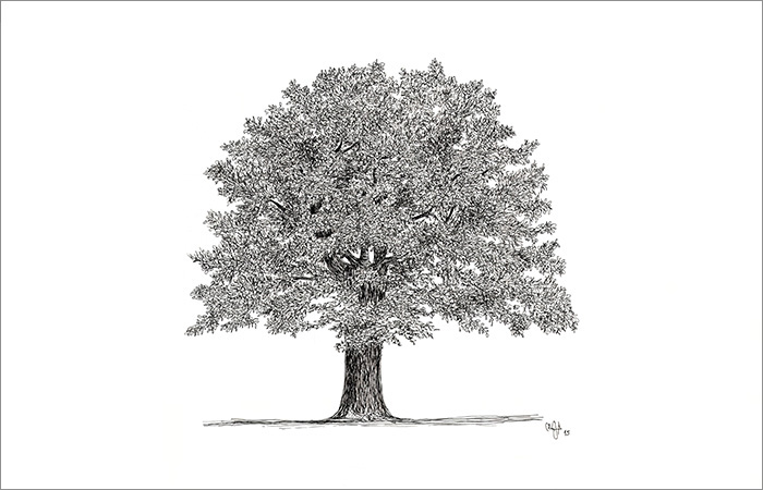 E _ 2025 _ tree